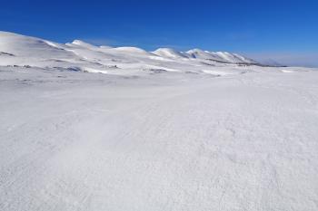 Vercors, réveillon dans le Sud Sauvage