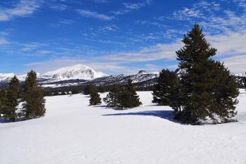 Vercors, réveillon dans le Sud Sauvage