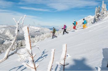 Raquettes en Vercors en liberté