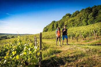 Petite Echappee Jurassienne dans le vignoble