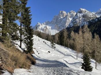 Raquette en Val Fiorentina