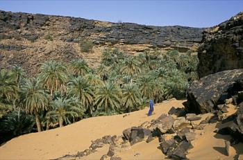 Les oasis de l'Adrar